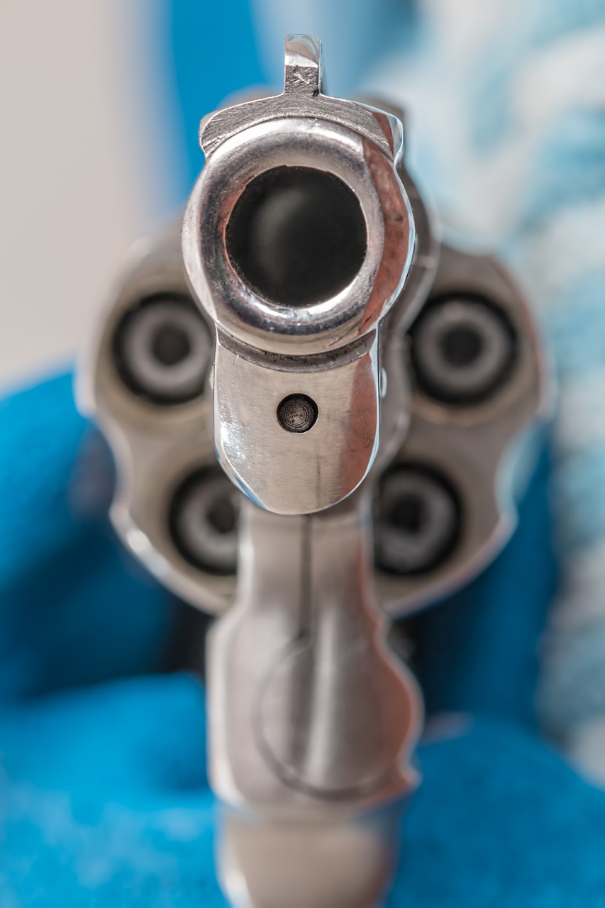 Do you like gun?